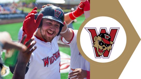 Czech breaks franchise home run record taken in Washington, Pa. (Wild Things)